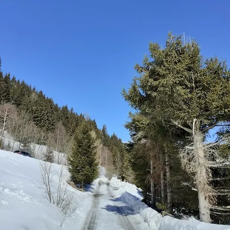 Pemmeva Apartamento *